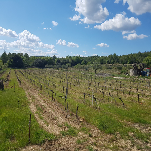 Offres de vente Terrain Cabasse 83340