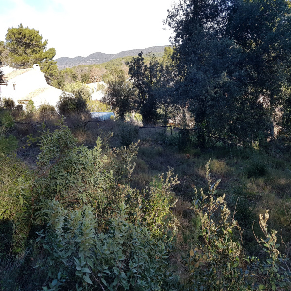 Offres de vente Terrain Le Luc 83340
