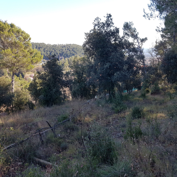 Offres de vente Terrain Le Luc 83340